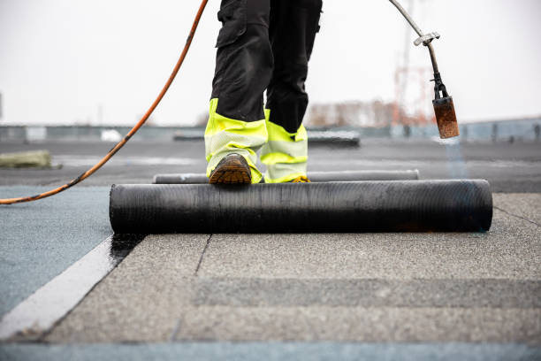 Roof Coating Services in Cheney, KS